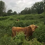 ベッド・アンド・ブレックファスト Aan De Molenberg Broekhuizen
