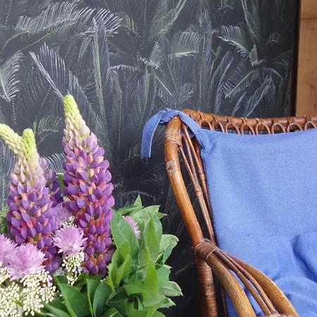 Aan De Molenberg 3* Broekhuizen (Limburg)