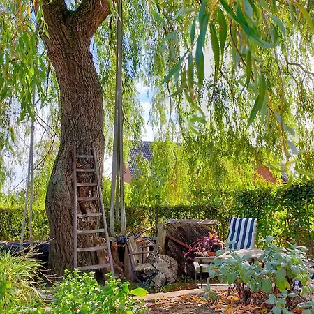 Frühstückspension Aan De Molenberg Broekhuizen (Limburg)