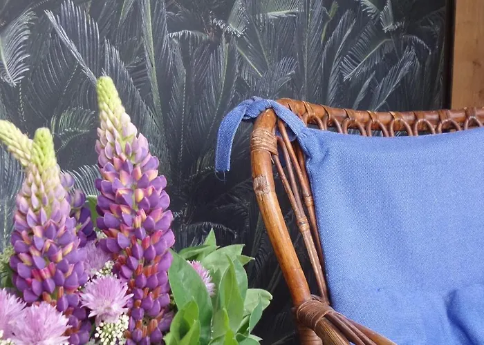 Aan De Molenberg 3* بوكهاوْسِن