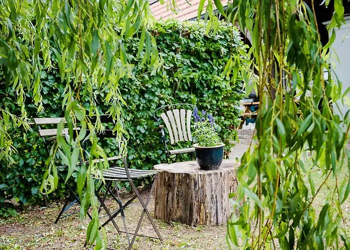 Aan De Molenberg فندق مبيت وإفطار 3*