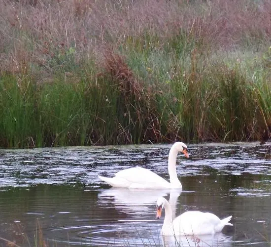 Aan De Molenberg فندق مبيت وإفطار