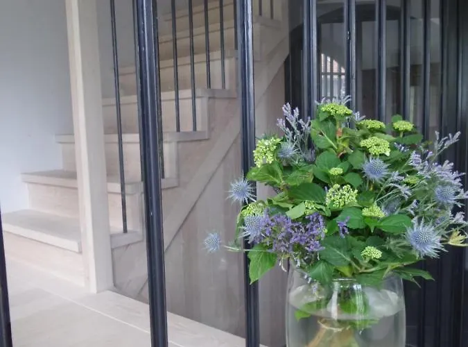 فندق مبيت وإفطار Aan De Molenberg بوكهاوْسِن