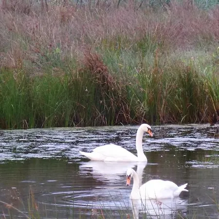 Aan De Molenberg Bed & Breakfast