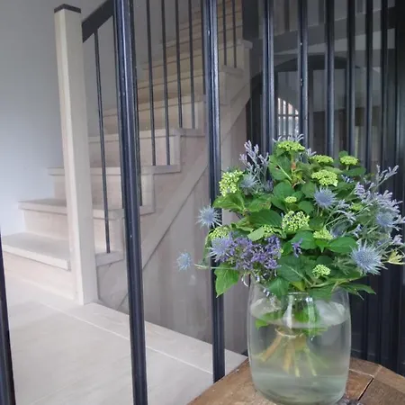 Bed & Breakfast Aan De Molenberg Broekhuizen (Limburg)