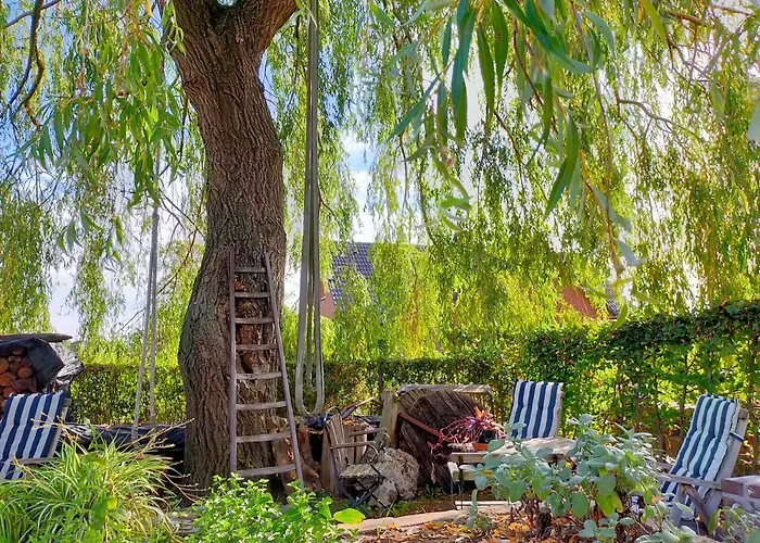 Nocleg ze śniadaniem Aan De Molenberg Broekhuizen (Limburg)